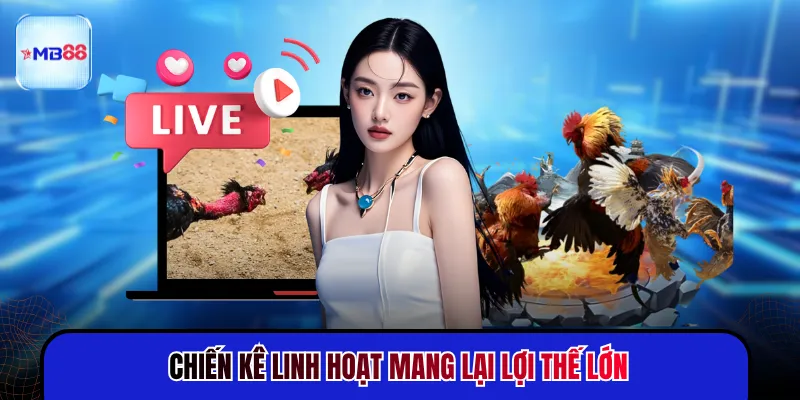 Chiến kê linh hoạt mang lại lợi thế lớn